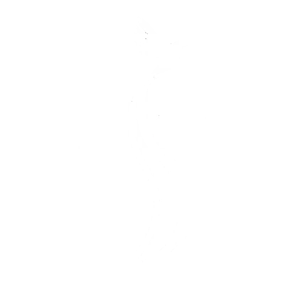 Iglesia Gracia y Verdad